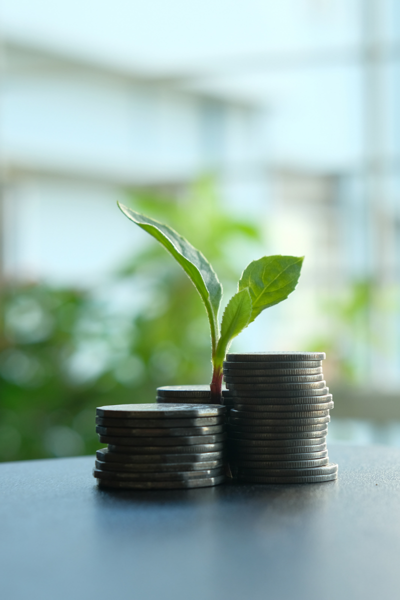 How do I price my skincare products to be profitable yet competitive?